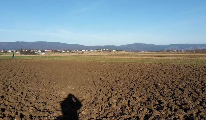 Działka budowlana Lipowa