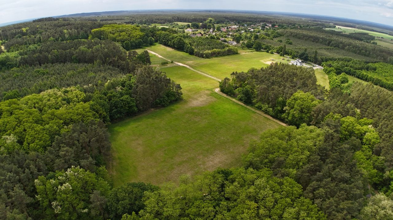 Działka rolno-budowlana Grabowiec. Zdjęcie 4
