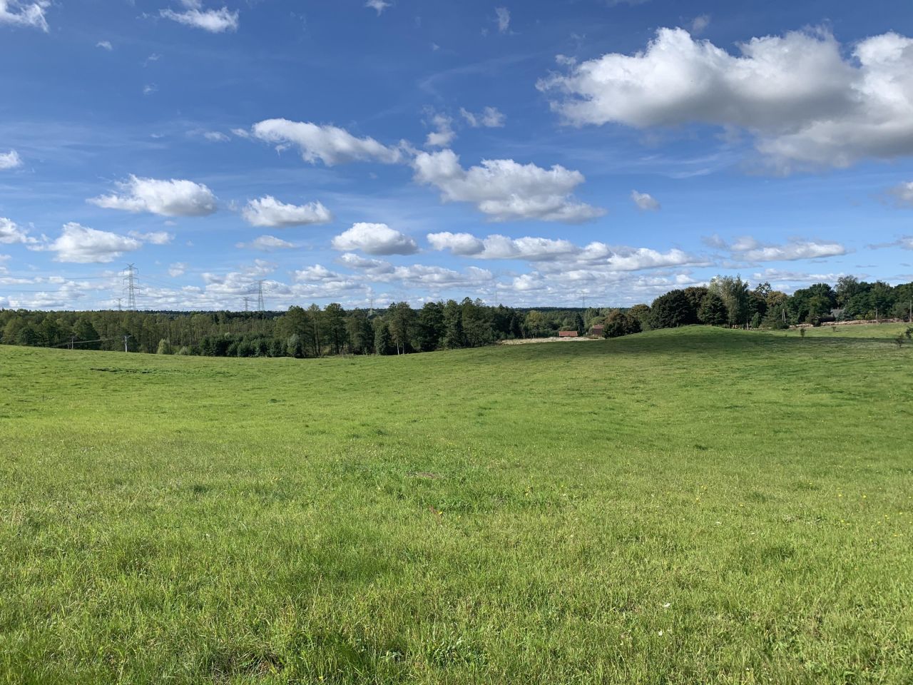 Działka budowlana Zalbki. Zdjęcie 5