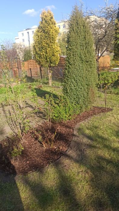 Działka rod Gdańsk Przymorze. Zdjęcie 7