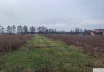 Działka budowlana Wygoda. Zdjęcie 3