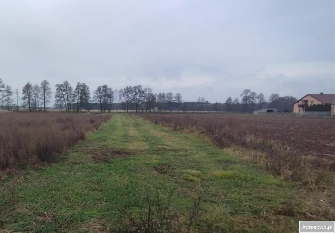 Działka budowlana Wygoda. Zdjęcie 4