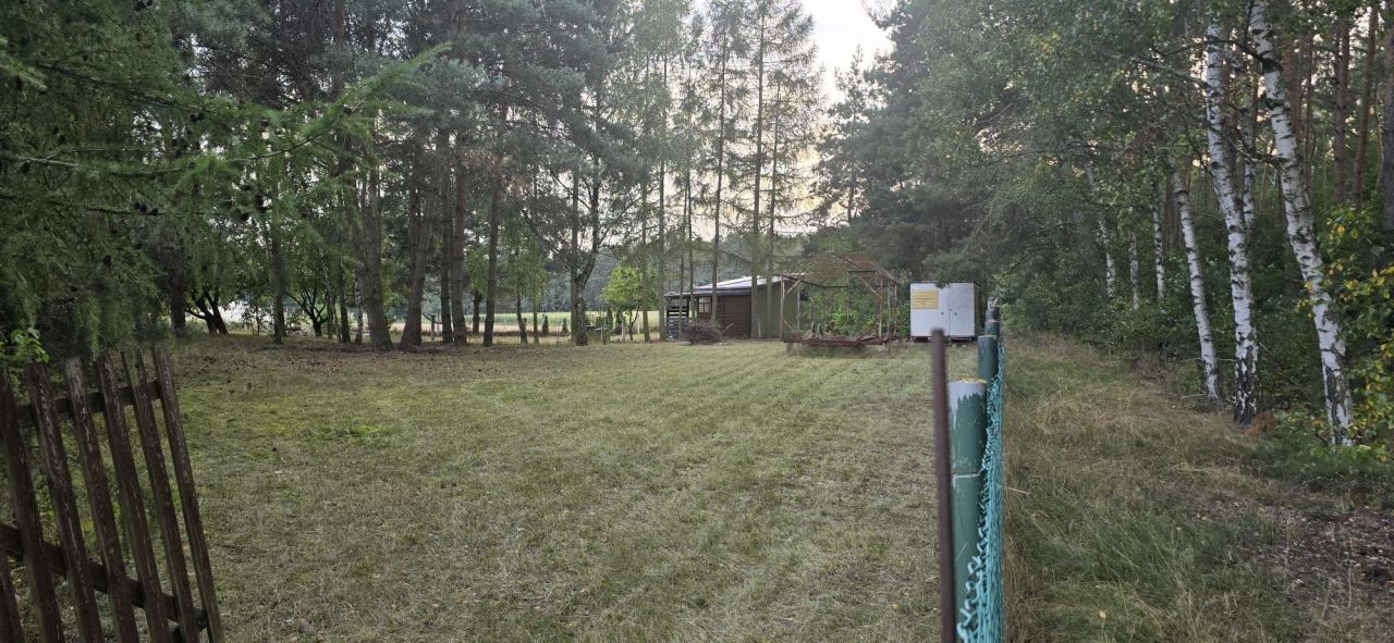 Działka rolna Ostrowite Prymasowskie Raszewo. Zdjęcie 2