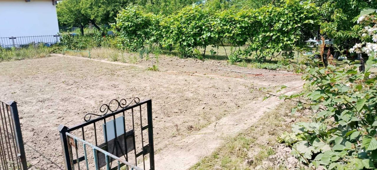 Działka rod Lubin. Zdjęcie 3