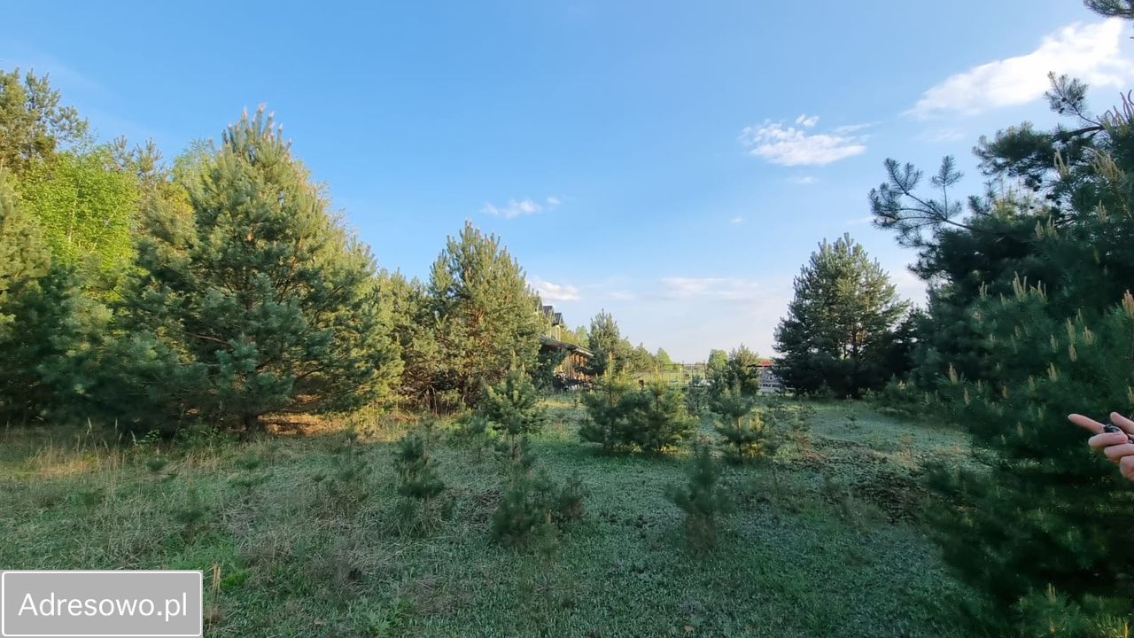 Działka budowlana Powązki, ul. Jarzębinowa. Zdjęcie 3
