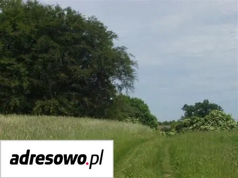 Działka inwestycyjna Dołgie. Zdjęcie 19