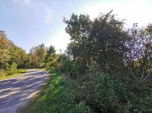 Działka siedliskowa Augustowo. Zdjęcie 2