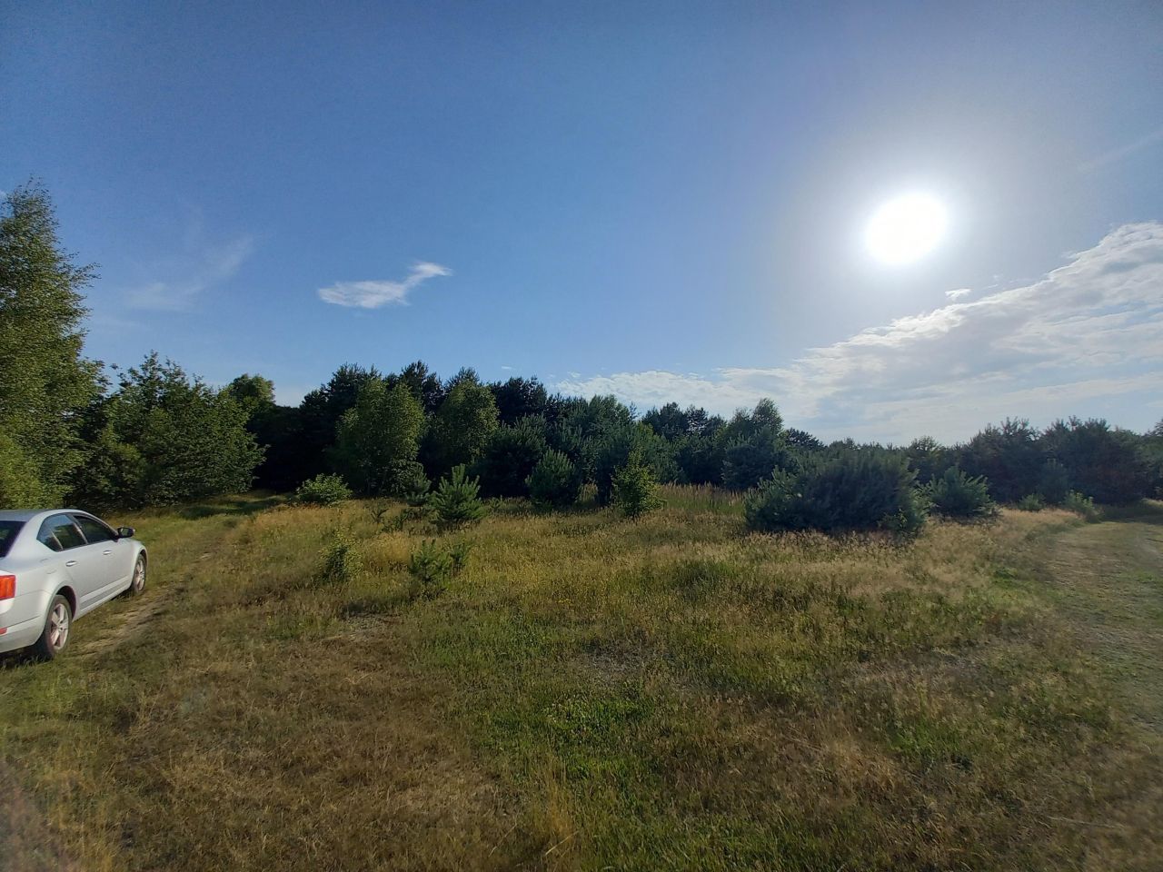 Działka leśna Sudzin. Zdjęcie 6