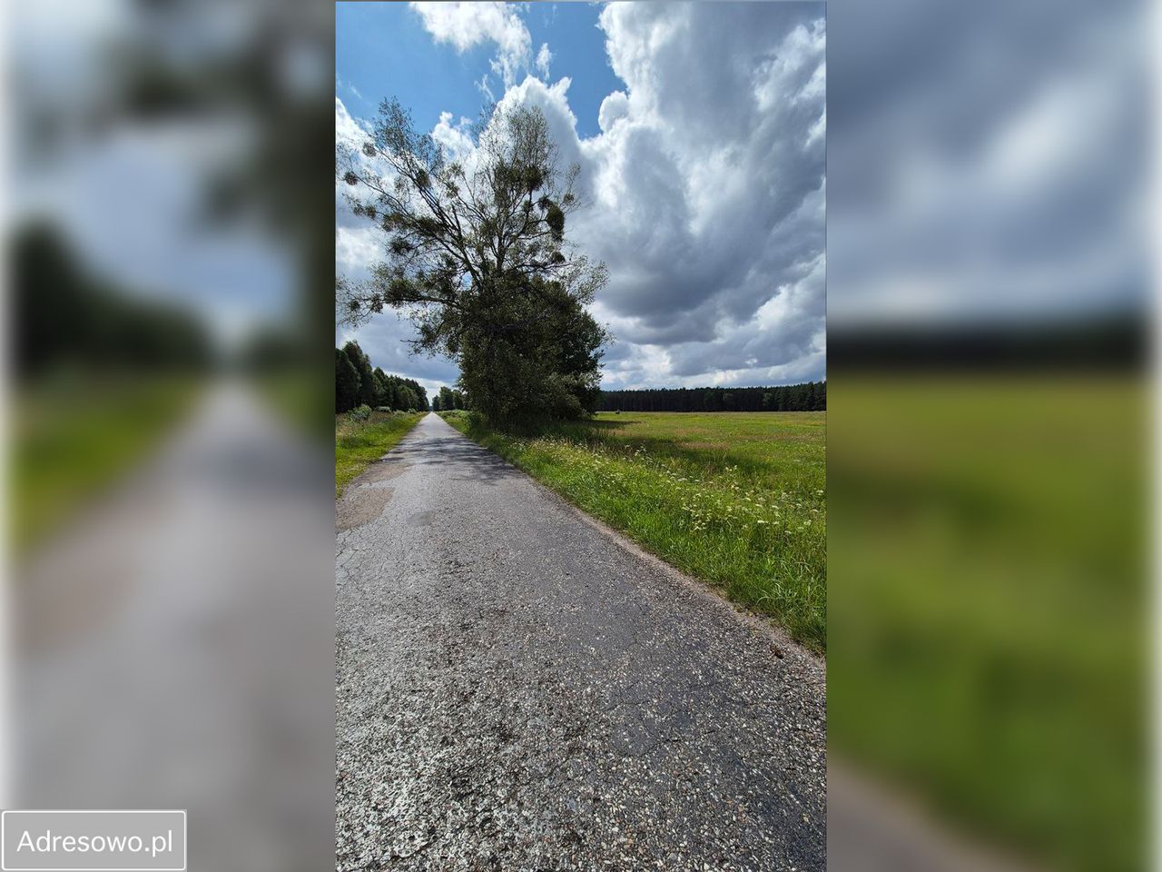 Działka inwestycyjna Czarne. Zdjęcie 2