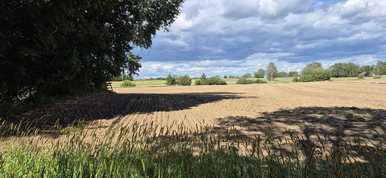 Działka rolno-budowlana Słomków Bażantarnia, ul. Główna