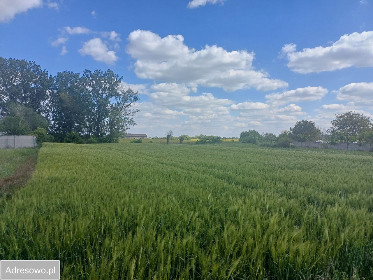 Działka budowlana Gaj Wielki, ul. Kościelna. Zdjęcie 5