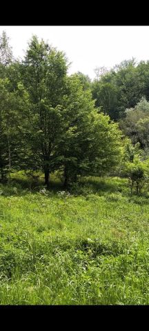 Działka Jodłówka Tuchowska. Zdjęcie 1