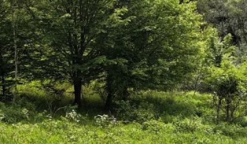 Działka Jodłówka Tuchowska