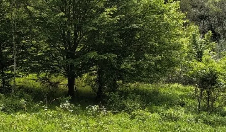 Działka Jodłówka Tuchowska