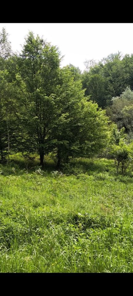 Działka Jodłówka Tuchowska