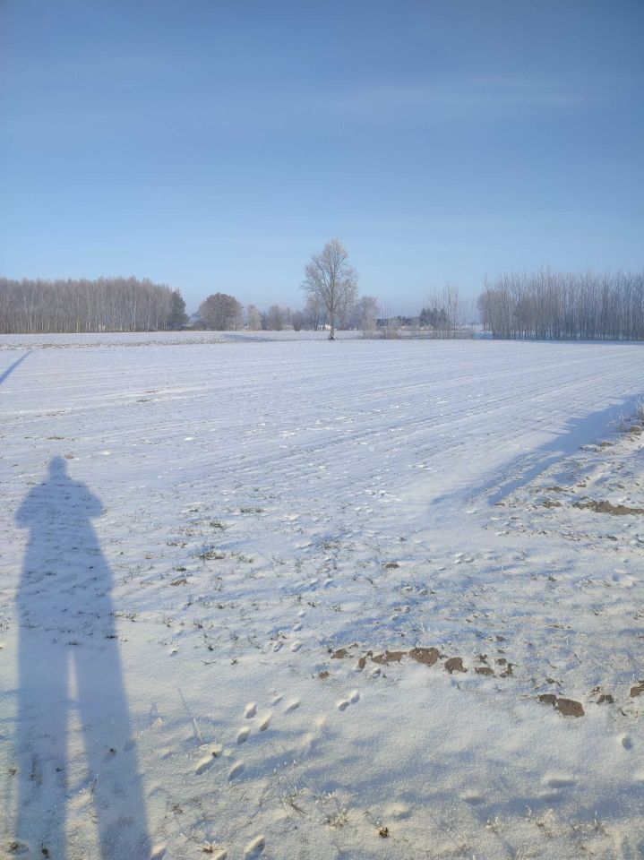 Działka rolno-budowlana Rybnik