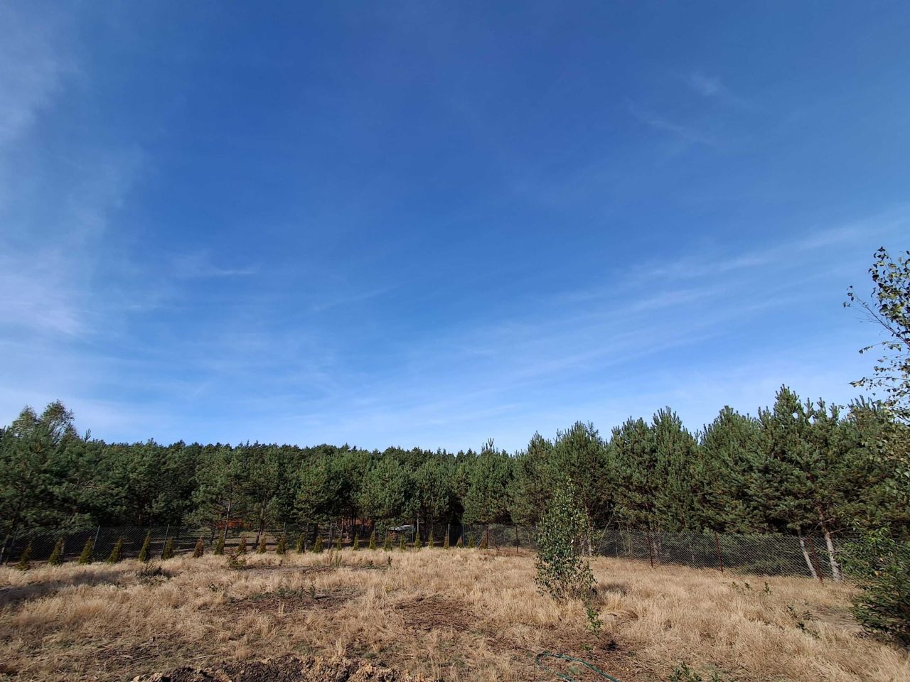 Działka rekreacyjna Zuzinów. Zdjęcie 8