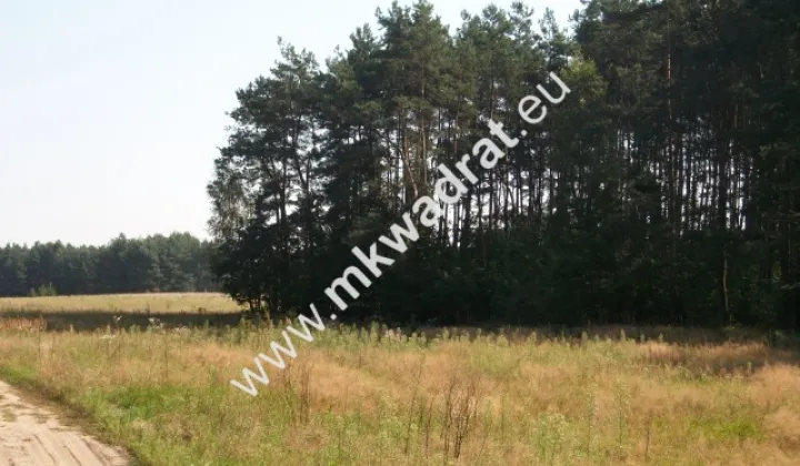 Działka rolna Budy Mszczonowskie