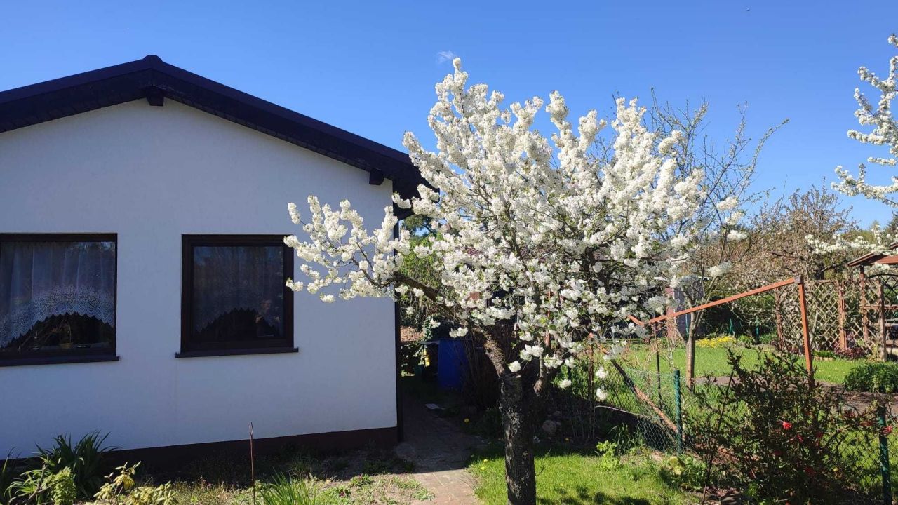 Działka rod Biedrusko. Zdjęcie 1