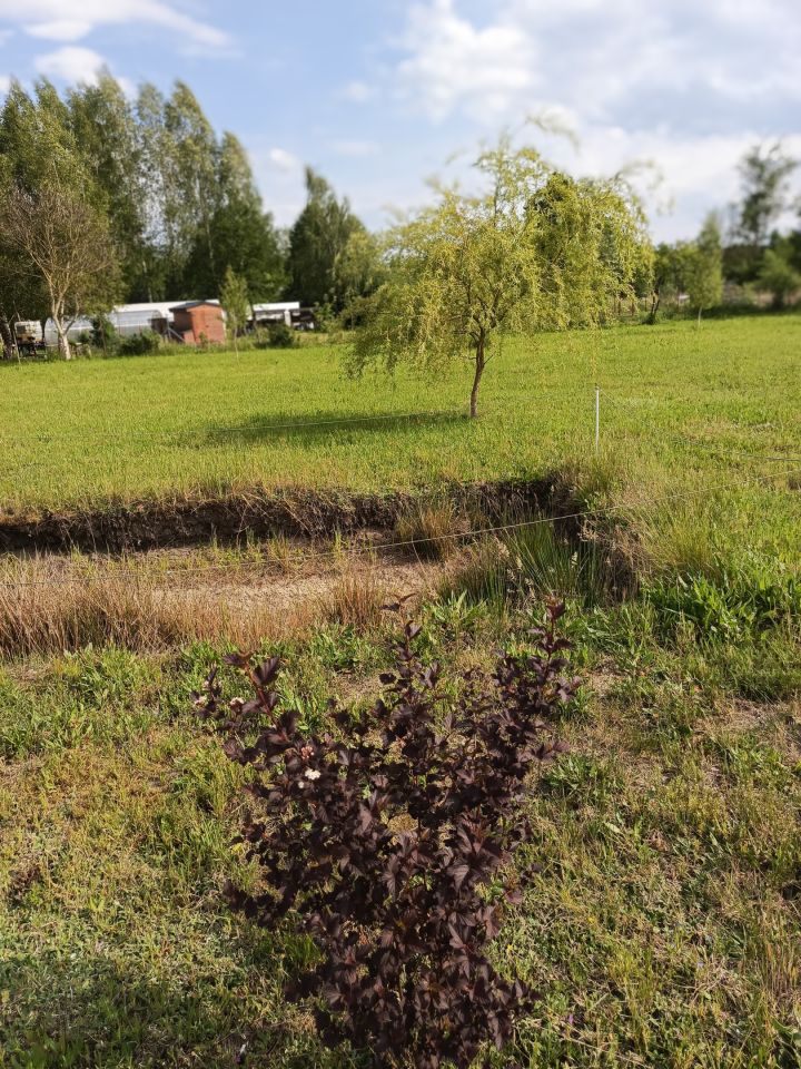Działka rolno-budowlana Klempicz, Klępicz 20b. Zdjęcie 30