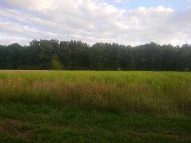 Działka rolno-budowlana Zbydniów, ul. Zatorze. Zdjęcie 1