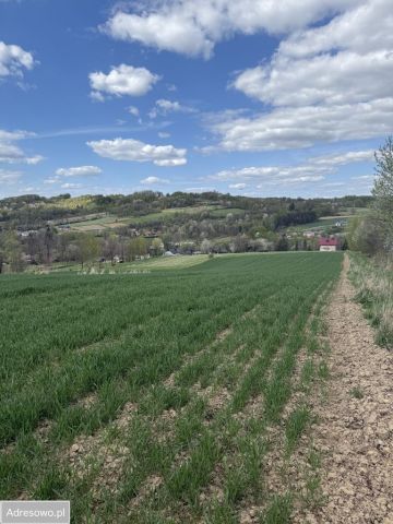 Działka budowlana Lubenia. Zdjęcie 1