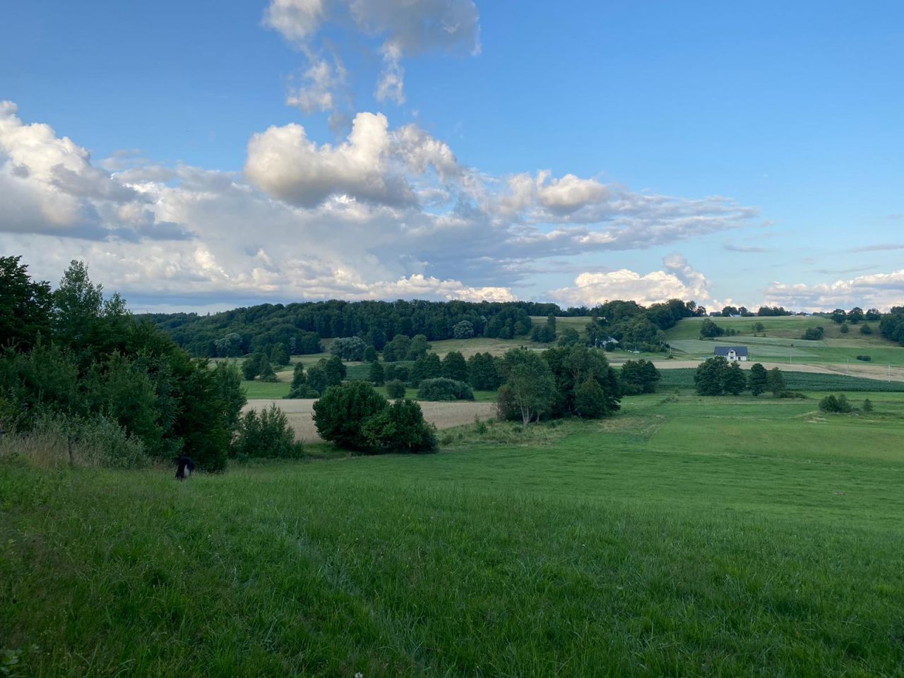 Działka budowlana Staniszewo Kępa, Staniszewo Kępa. Zdjęcie 10