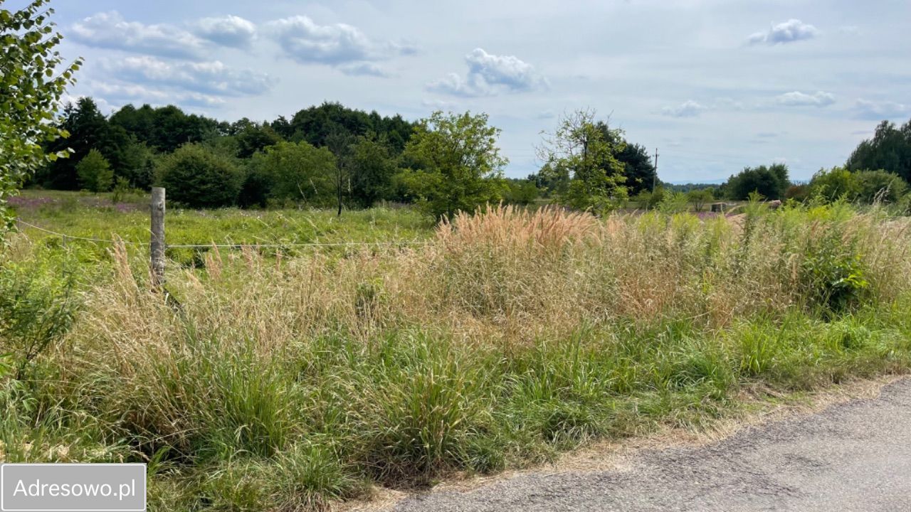 Działka budowlana Żarki, ul. Zawiszy. Zdjęcie 9