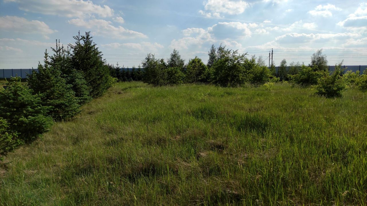 Działka budowlana Wrocław Lipa Piotrowska, ul. Pełczyńska. Zdjęcie 5