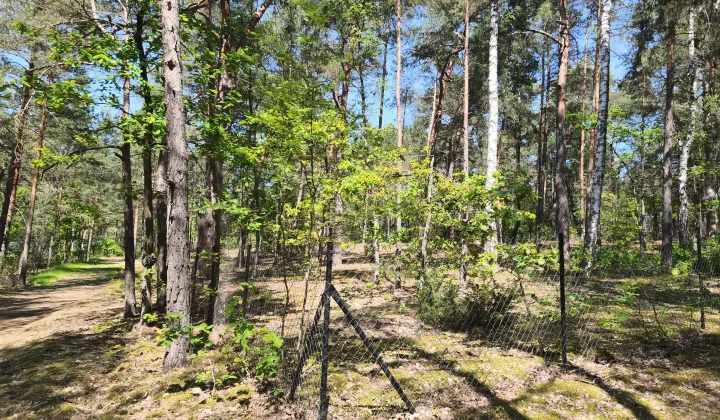 Działka rekreacyjna Osiedle Wilga, ul. Łosia
