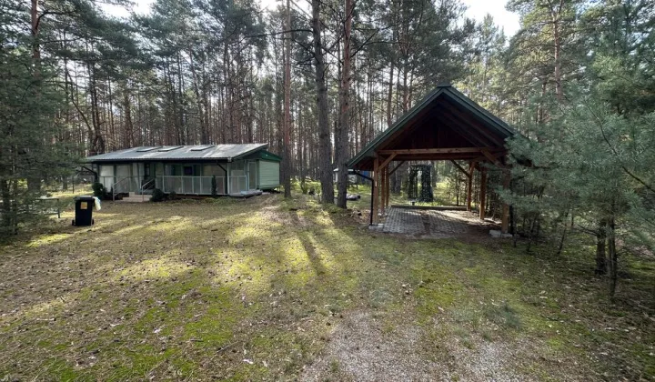 Działka Fryszerka