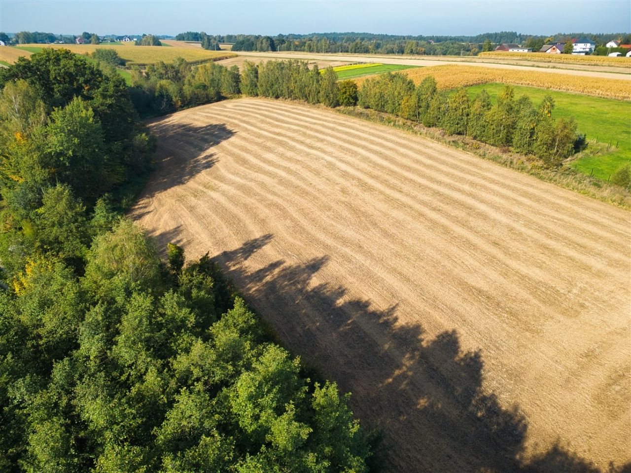 Działka budowlana Gierałtowice, ul. Szpitalna. Zdjęcie 9