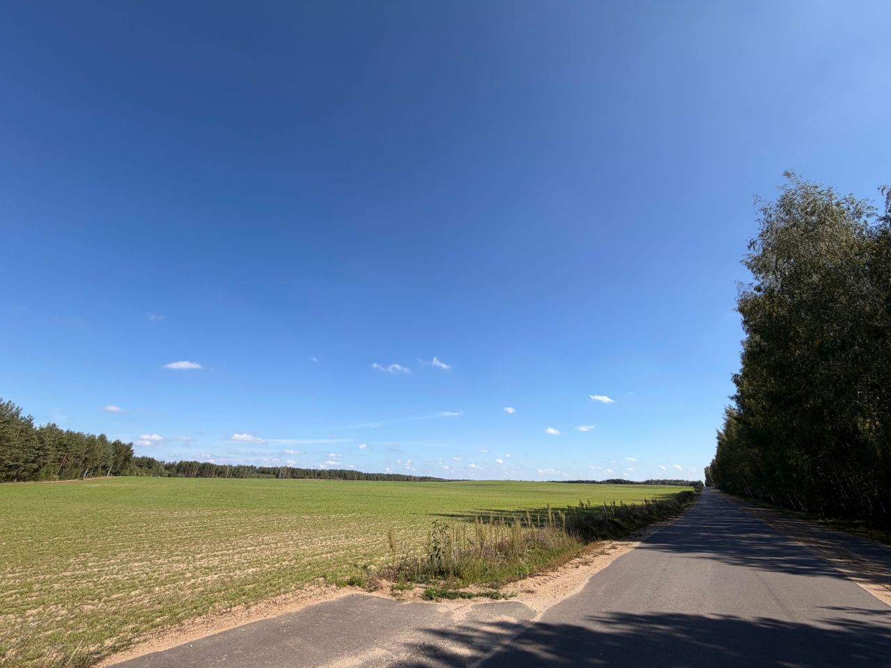 Działka rolna Kaniuki. Zdjęcie 1