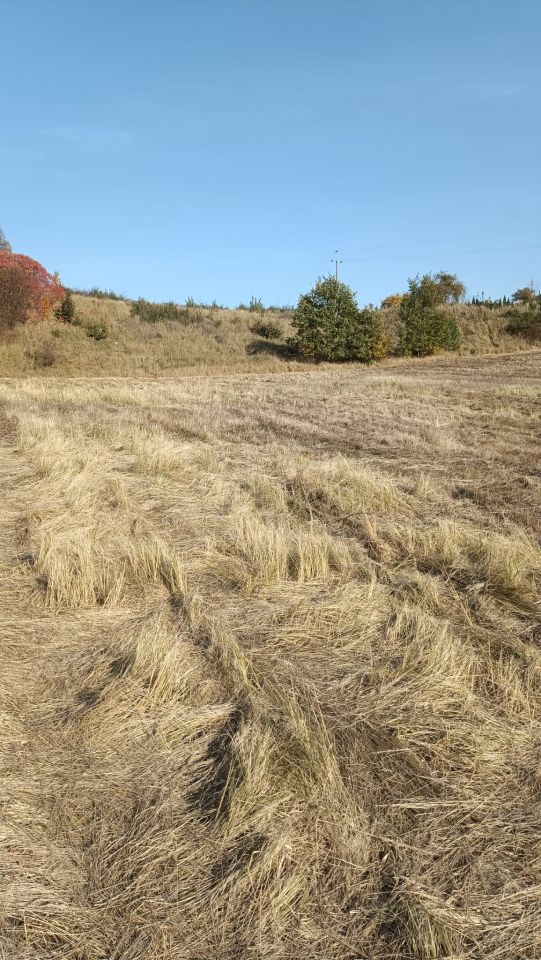 Działka budowlana Strączno. Zdjęcie 10