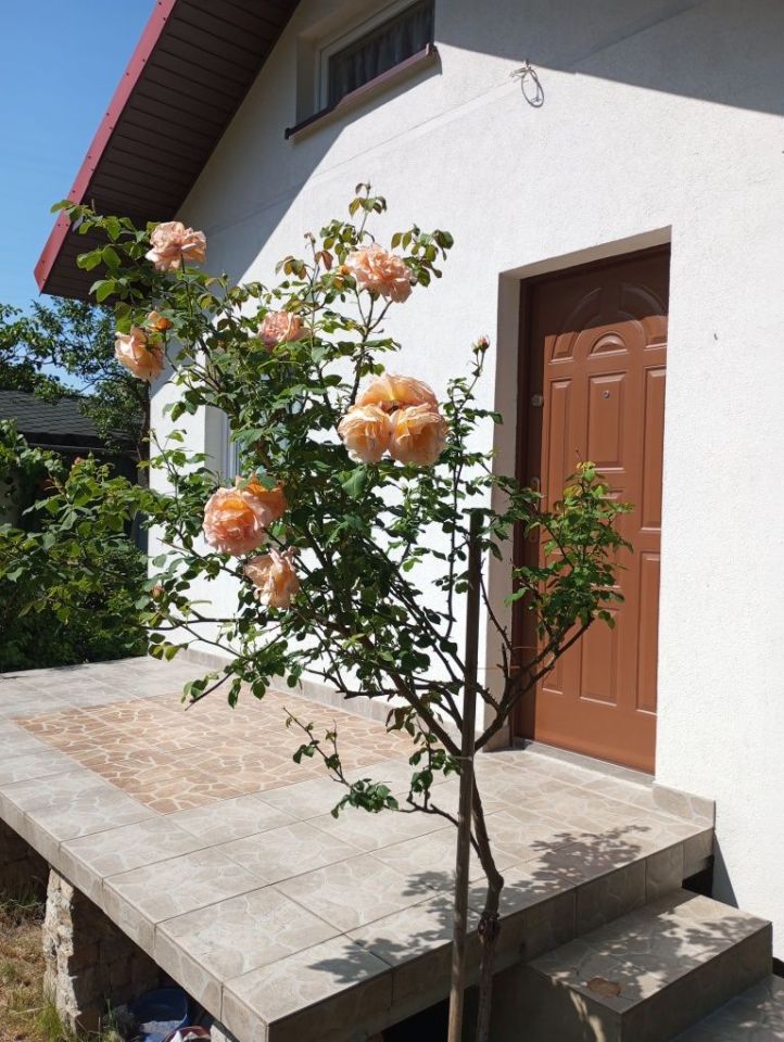 Działka rekreacyjna Toruń. Zdjęcie 5