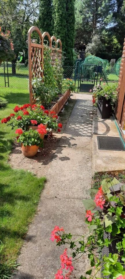 Działka rod Walendów. Zdjęcie 3