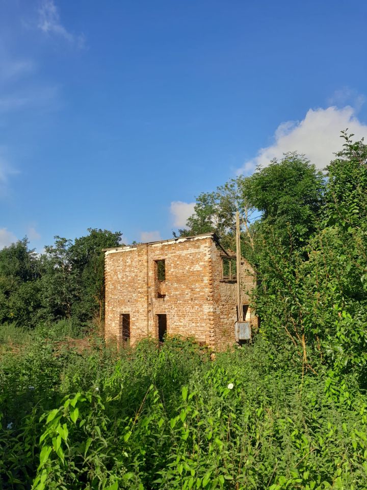 Działka siedliskowa Borkowice. Zdjęcie 15