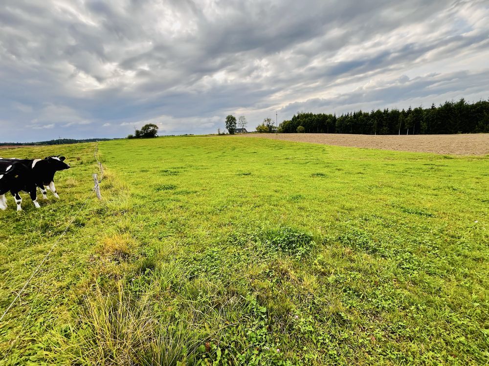 Działka budowlana Wipsowo. Zdjęcie 6