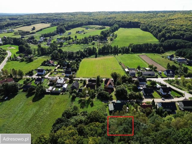 Działka rolno-budowlana Czapielsk. Zdjęcie 1