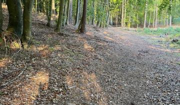 Działka budowlana Sulmin