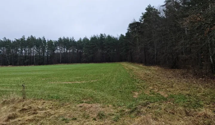 Działka budowlana Targowo