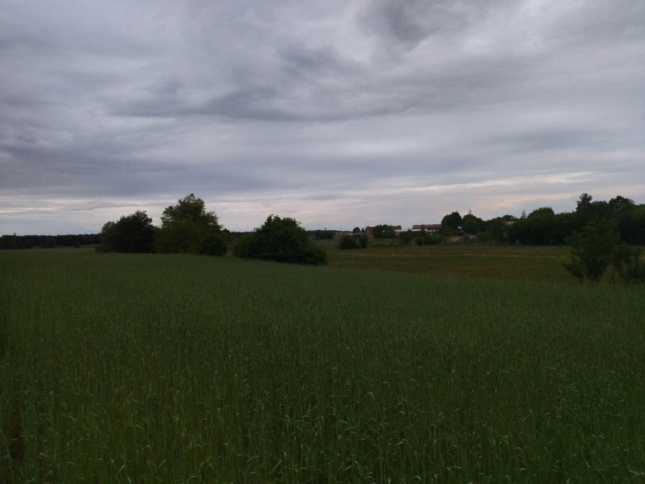 Działka budowlana Świerczyna. Zdjęcie 11