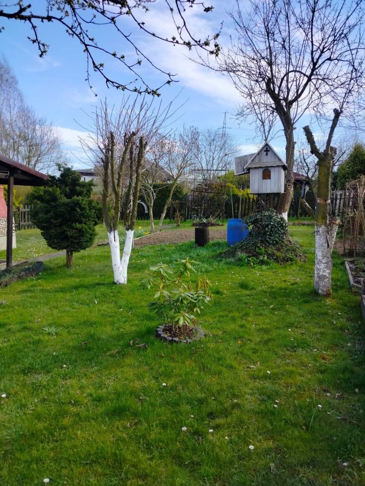 Działka rod Jastrzębie-Zdrój, ul. Stodoły. Zdjęcie 6