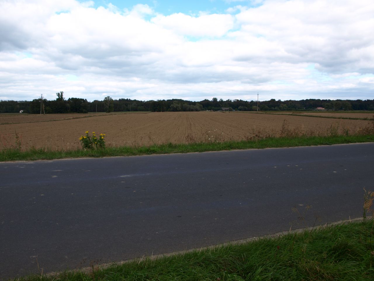 Działka rolna Drwały. Zdjęcie 5