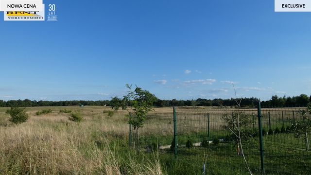 Działka rolna Kamieniec. Zdjęcie 2