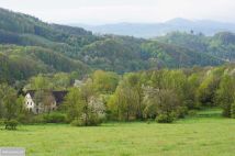 Działka rolno-budowlana Wilcza. Zdjęcie 1
