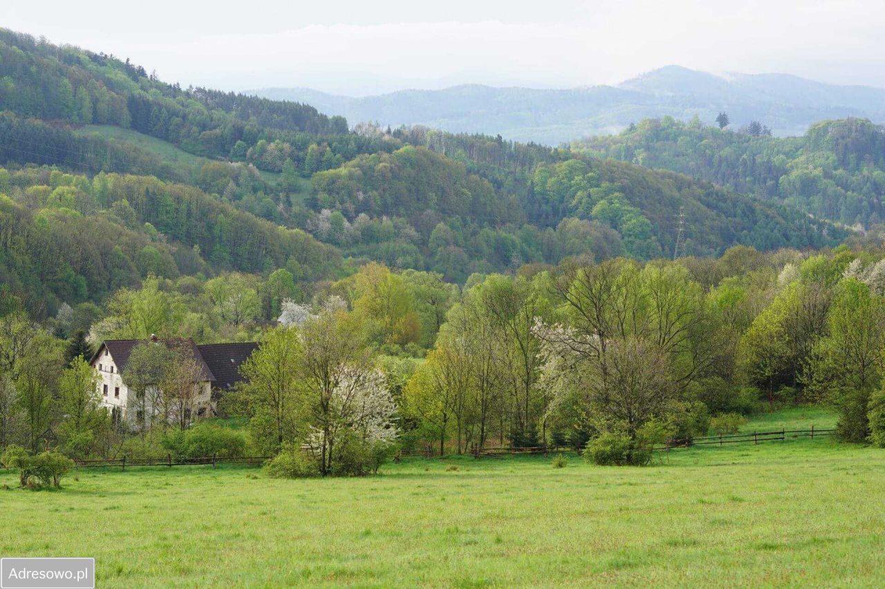 Działka rolno-budowlana Wilcza. Zdjęcie 2