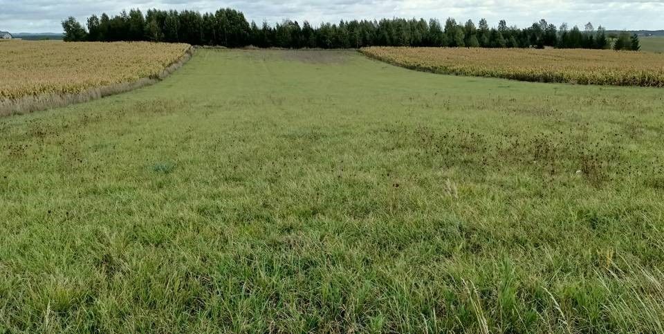 Działka rolna Stare Juchy, ul. Chopina. Zdjęcie 5