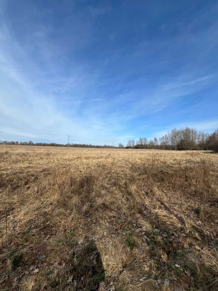 Działka budowlana Koźlice, ul. Akacjowa. Zdjęcie 1