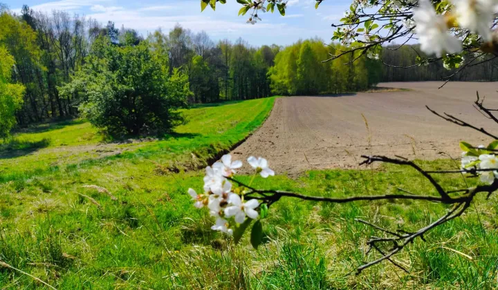 Działka budowlana Łaziska Górne Centrum